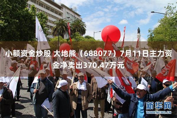 小额资金炒股 大地熊（688077）7月11日主力资金净卖出370.47万元