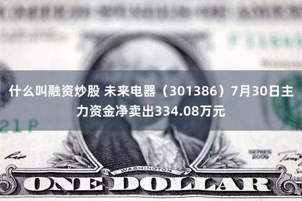 什么叫融资炒股 未来电器（301386）7月30日主力资金净卖出334.08万元