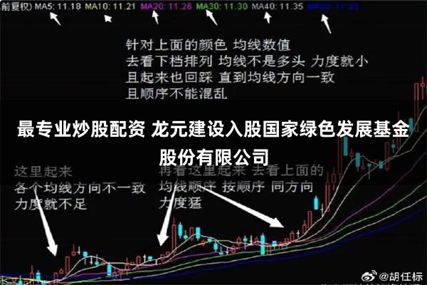 最专业炒股配资 龙元建设入股国家绿色发展基金股份有限公司