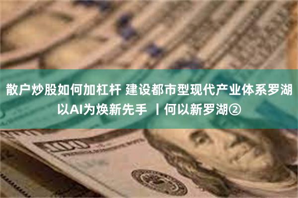 散户炒股如何加杠杆 建设都市型现代产业体系罗湖以AI为焕新先手 丨何以新罗湖②