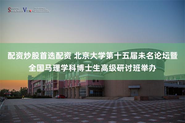 配资炒股首选配资 北京大学第十五届未名论坛暨全国马理学科博士生高级研讨班举办