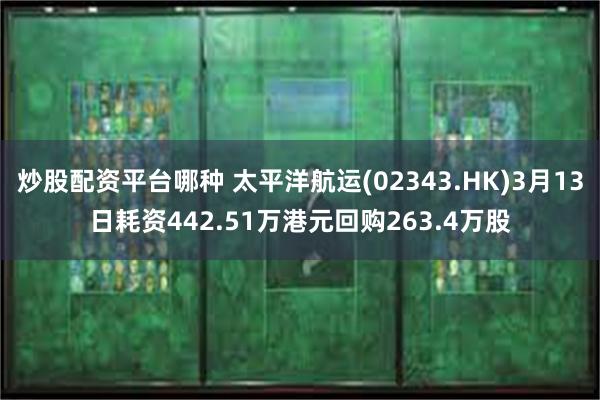 炒股配资平台哪种 太平洋航运(02343.HK)3月13日耗资442.51万港元回购263.4万股